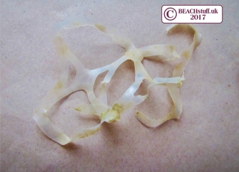 Six pack holder Six pack holder