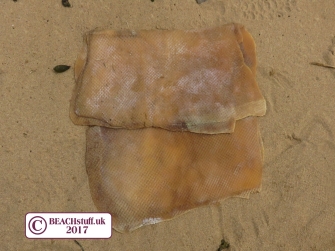 Rubber sheets on the beach Rubber sheets on the beach