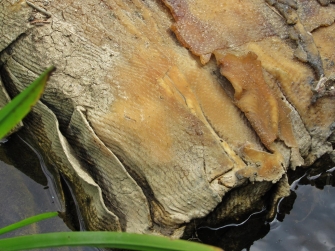 Rubber sheets Rubber sheets