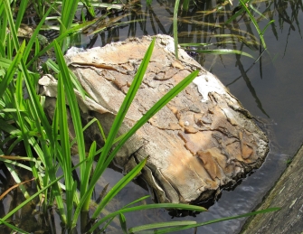 Bale of rubber sheets Bale of rubber sheets